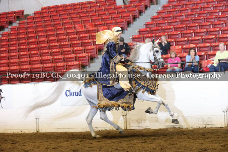 Proof 19BUCK_00401
