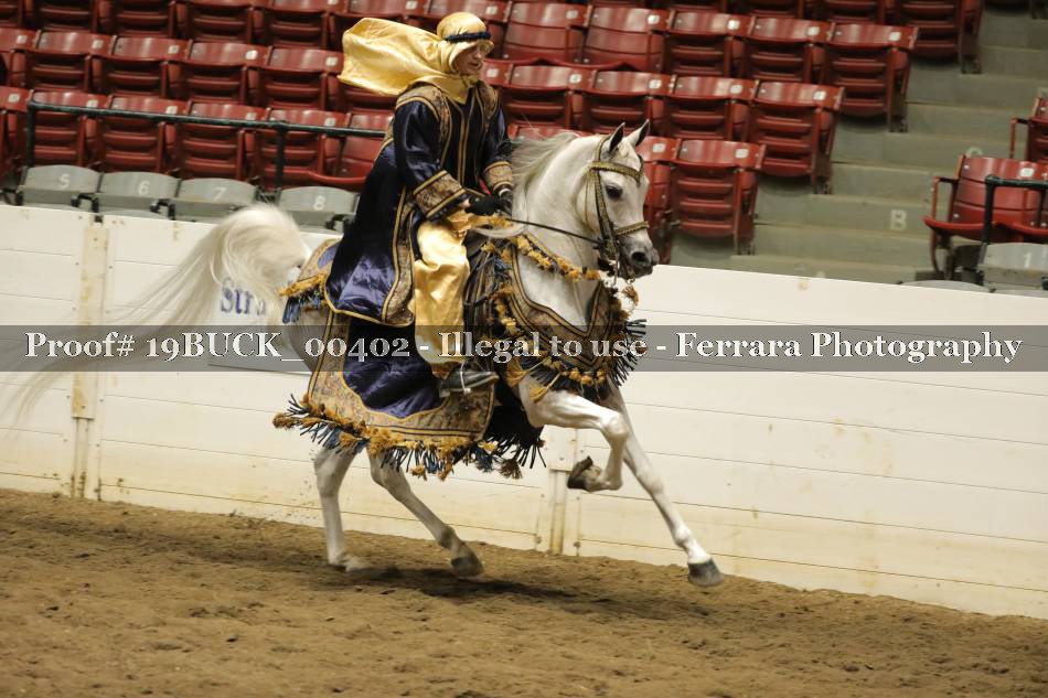 Proof 19BUCK_00402