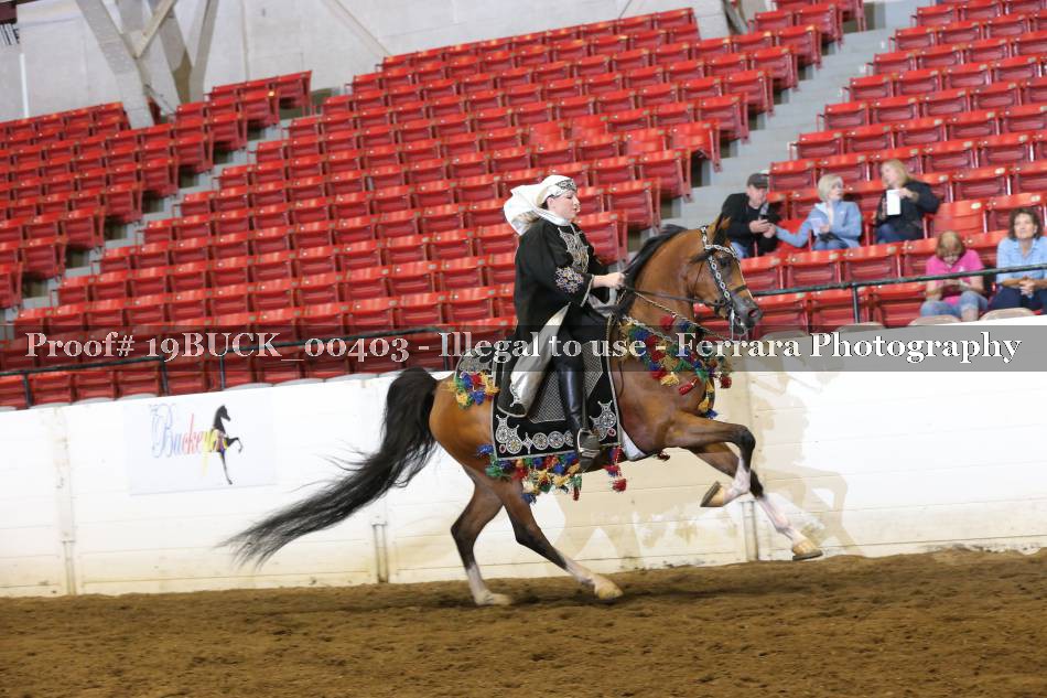 Proof 19BUCK_00403
