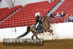 19BUCK_00403 proof