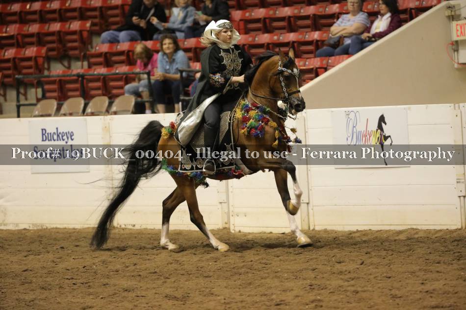 Proof 19BUCK_00404