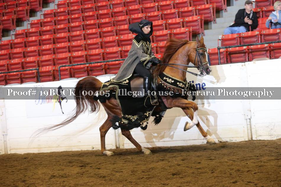 Proof 19BUCK_00405