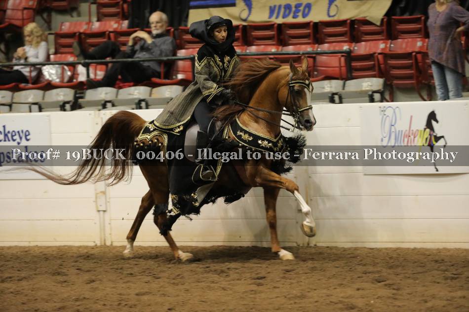 Proof 19BUCK_00406