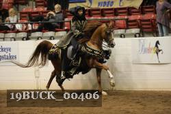 19BUCK_00406 proof