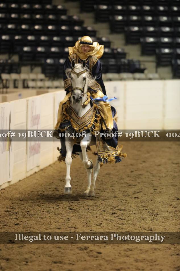 Proof 19BUCK_00408