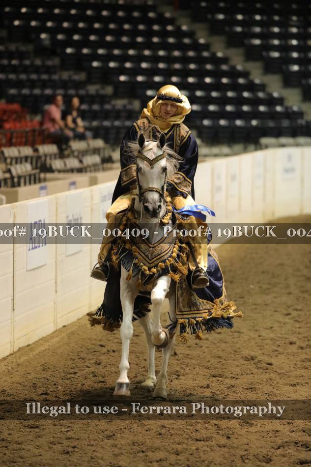 Proof 19BUCK_00409