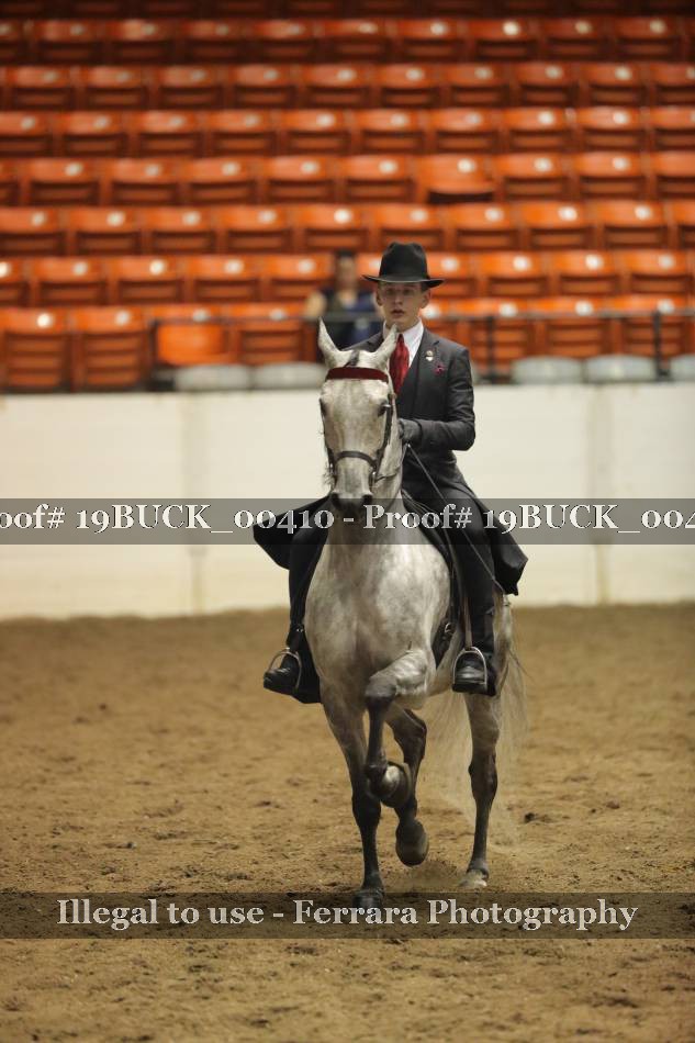 Proof 19BUCK_00410