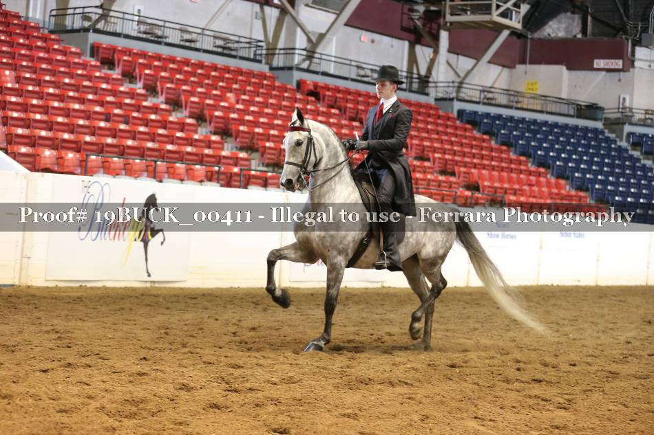 Proof 19BUCK_00411