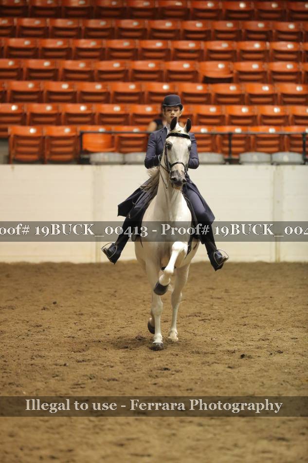 Proof 19BUCK_00413