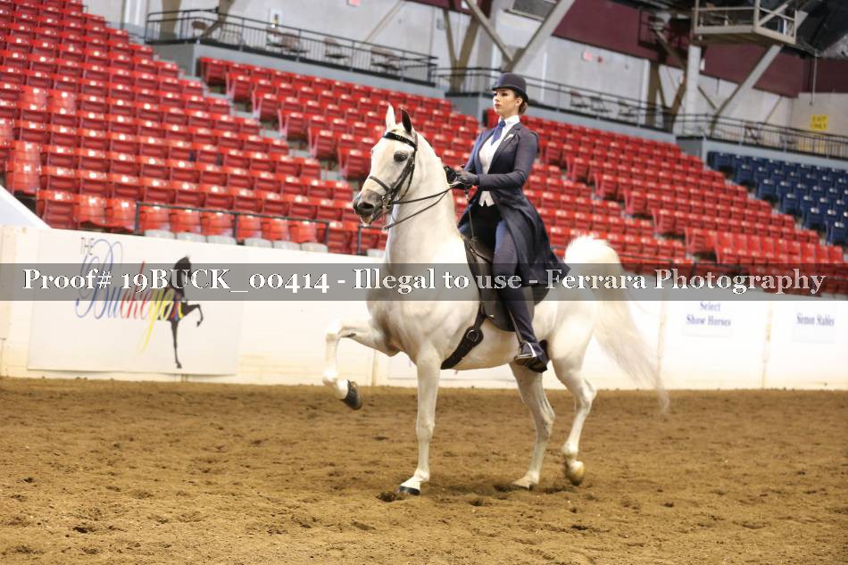 Proof 19BUCK_00414
