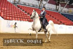 19BUCK_00414 proof