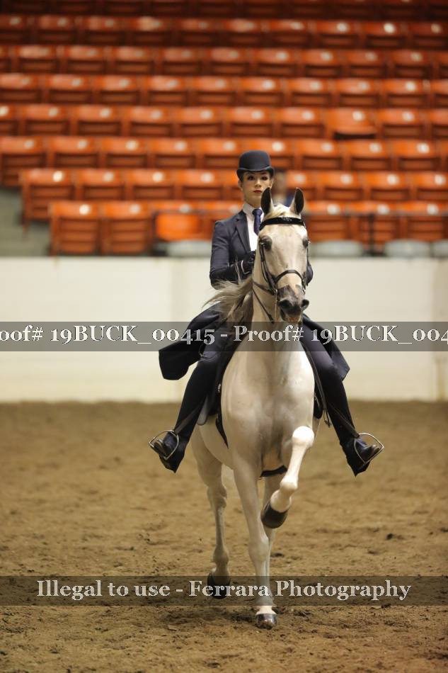 Proof 19BUCK_00415