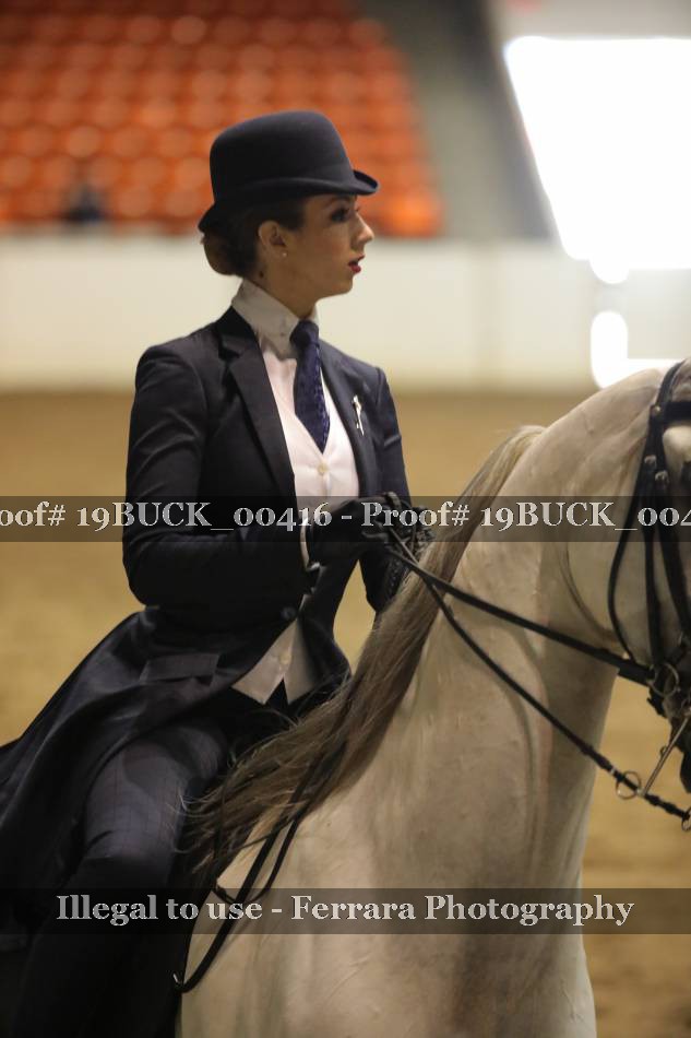 Proof 19BUCK_00416