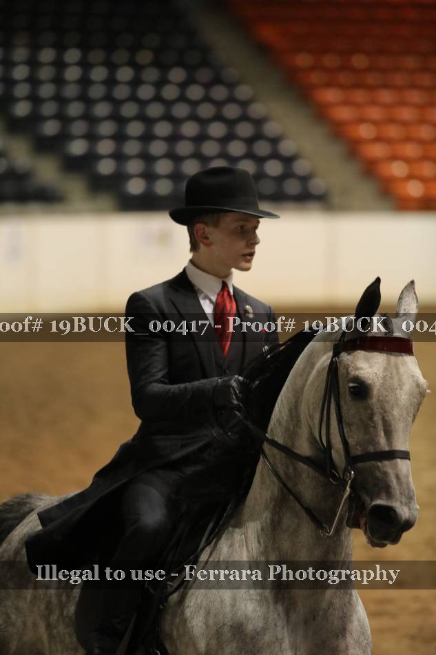 Proof 19BUCK_00417