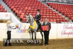 19BUCK_00419 proof
