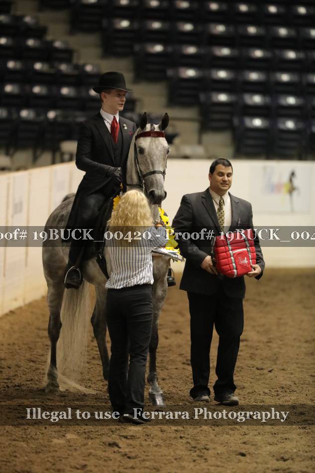 Proof 19BUCK_00420