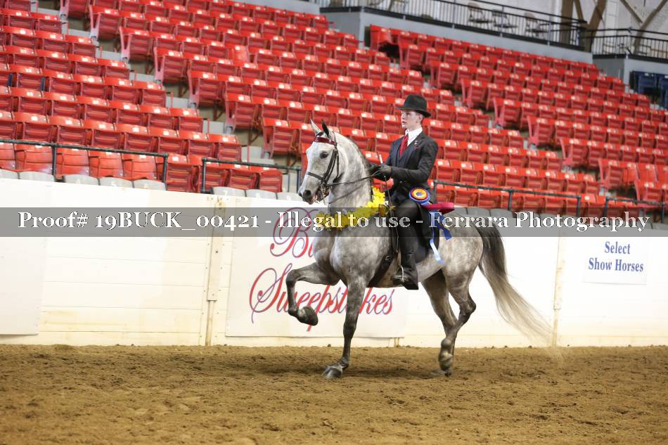 Proof 19BUCK_00421
