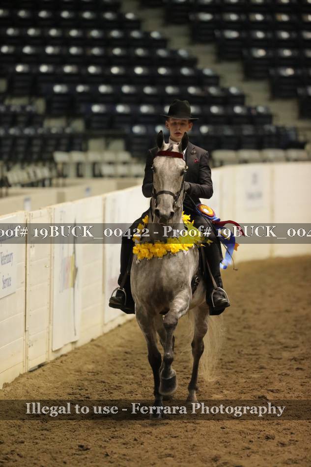 Proof 19BUCK_00422