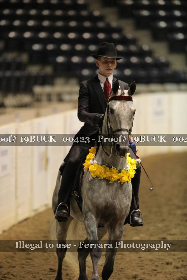 Proof 19BUCK_00423