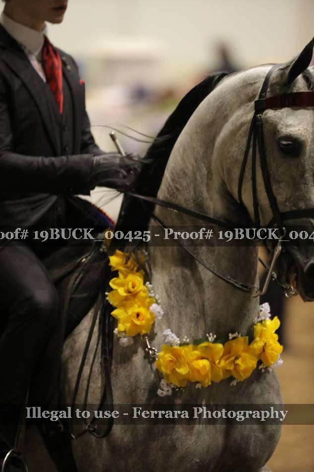 Proof 19BUCK_00425