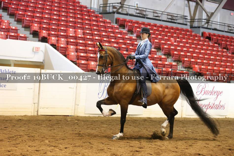 Proof 19BUCK_00427