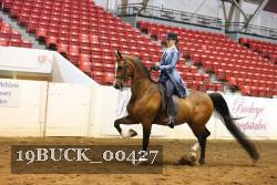 19BUCK_00427 proof