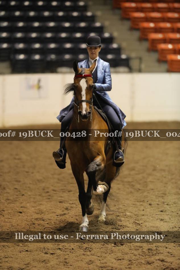 Proof 19BUCK_00428