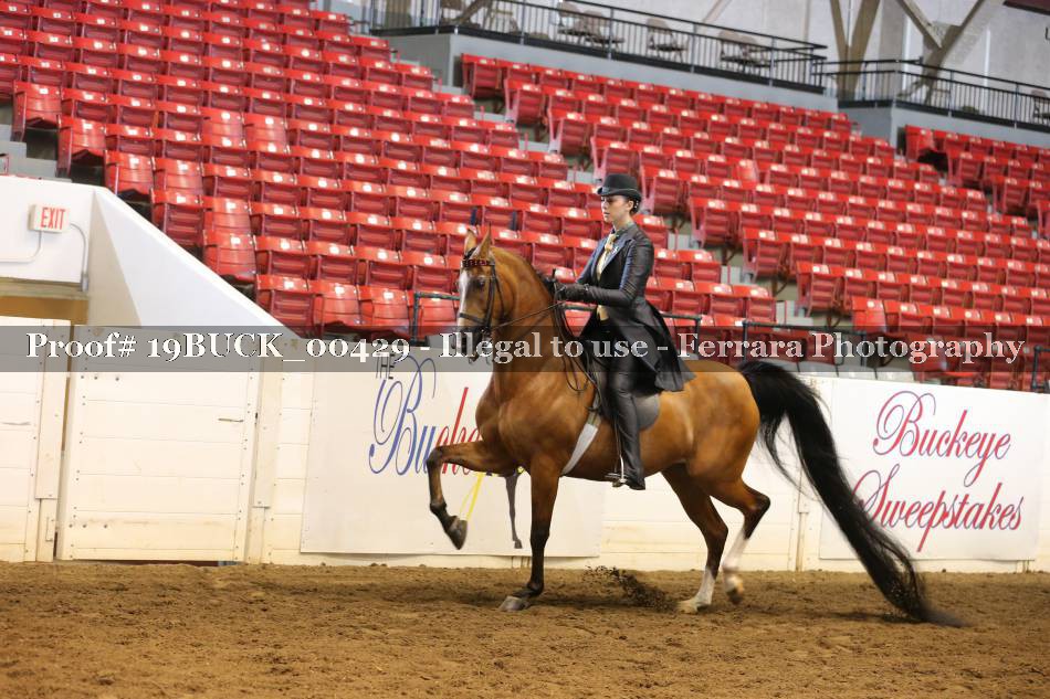 Proof 19BUCK_00429