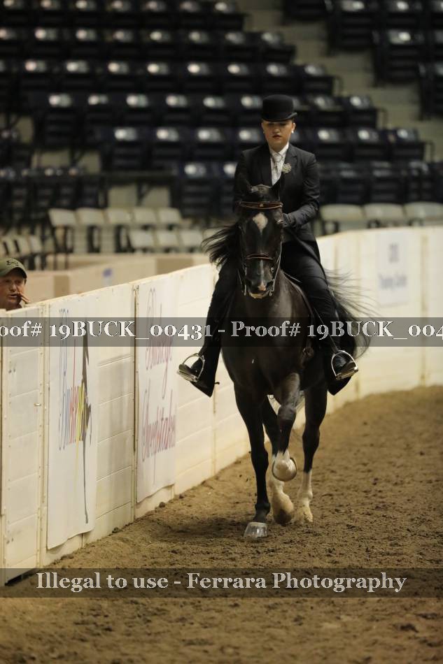 Proof 19BUCK_00431