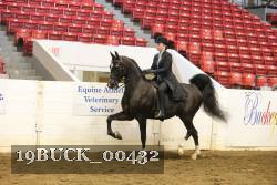 19BUCK_00432 proof