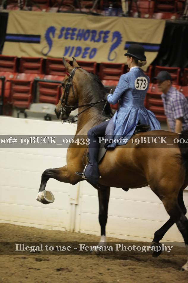 Proof 19BUCK_00433