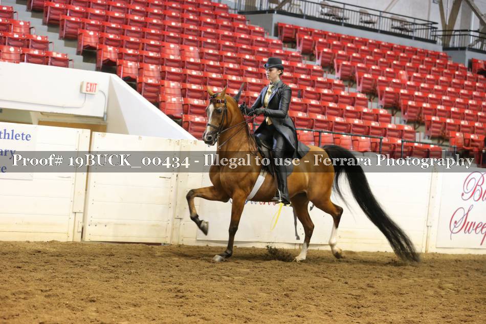 Proof 19BUCK_00434