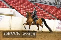 19BUCK_00434 proof