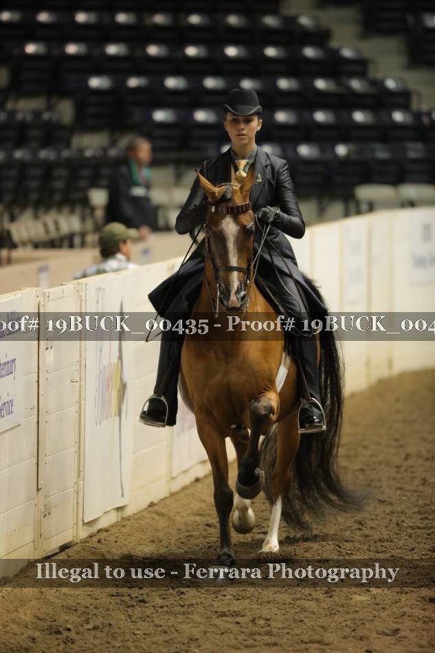 Proof 19BUCK_00435