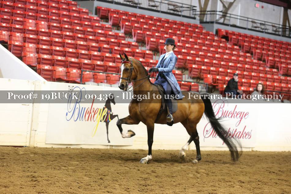 Proof 19BUCK_00436