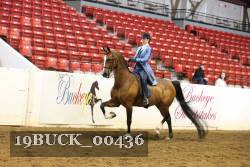 19BUCK_00436 proof