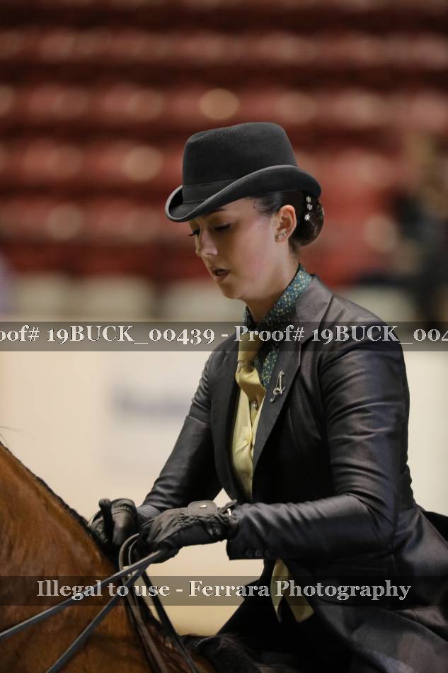 Proof 19BUCK_00439