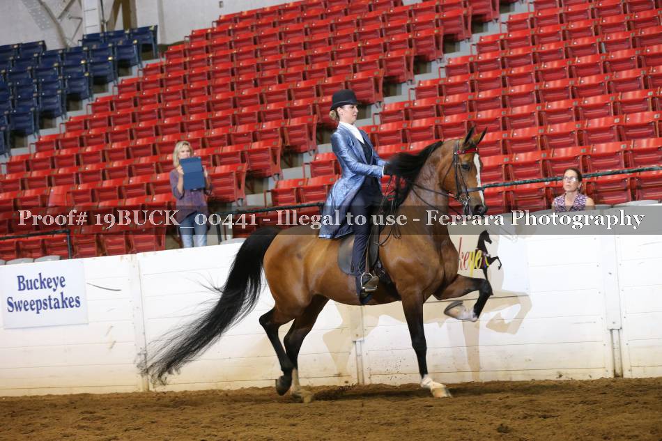 Proof 19BUCK_00441