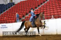 19BUCK_00441 proof