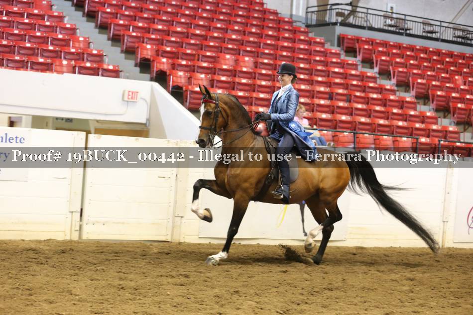Proof 19BUCK_00442