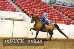 19BUCK_00442 proof