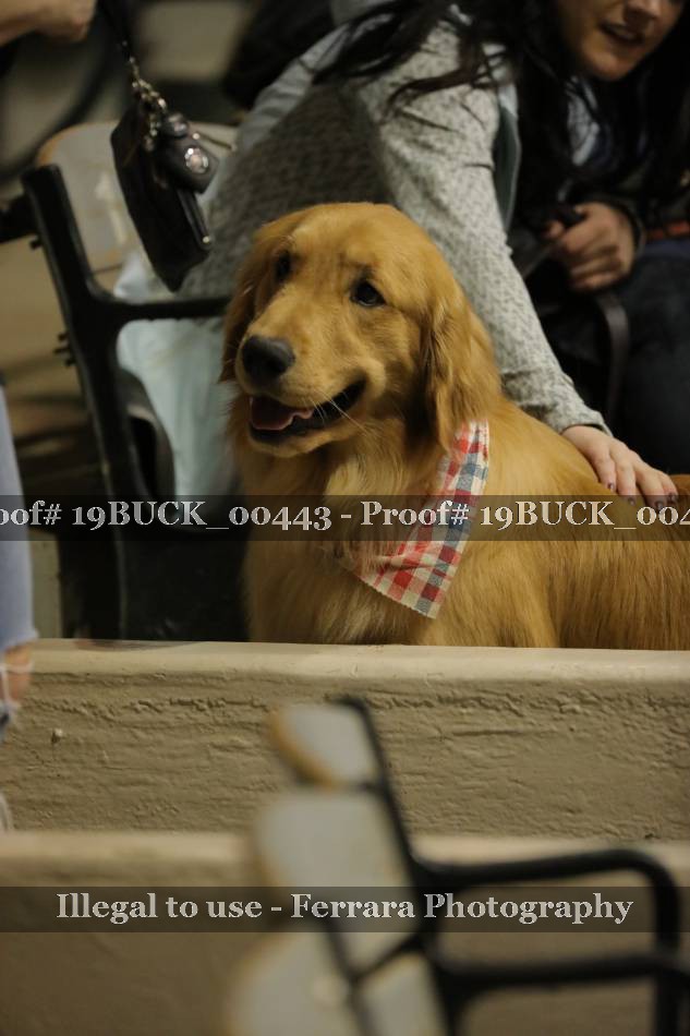 Proof 19BUCK_00443