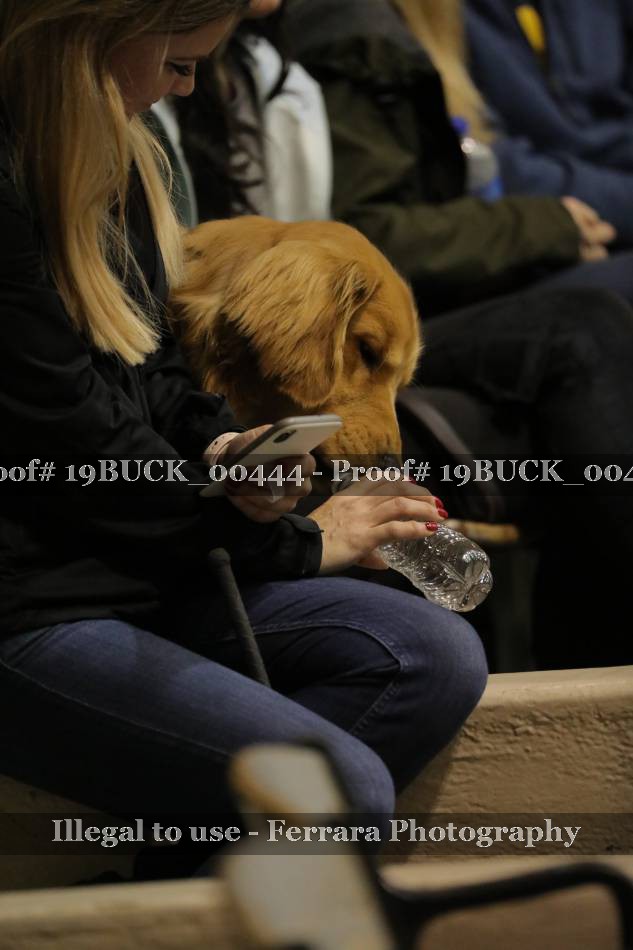 Proof 19BUCK_00444