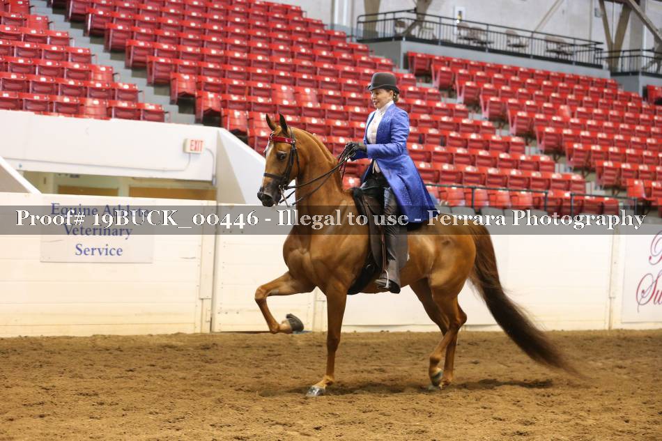 Proof 19BUCK_00446