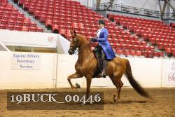 19BUCK_00446 proof