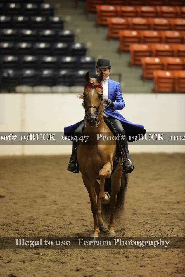 Proof 19BUCK_00447
