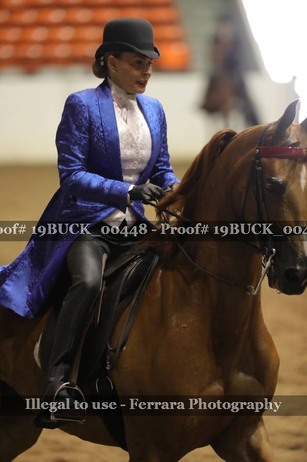Proof 19BUCK_00448