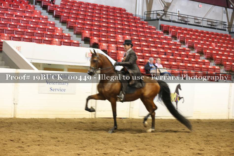 Proof 19BUCK_00449