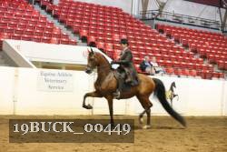 19BUCK_00449 proof