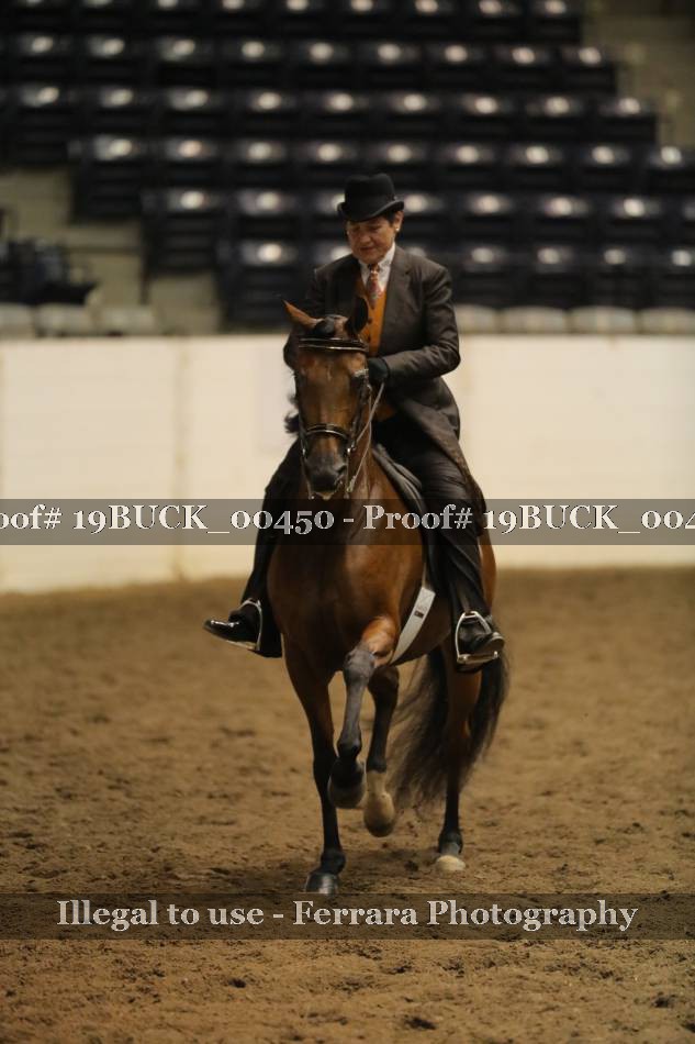 Proof 19BUCK_00450
